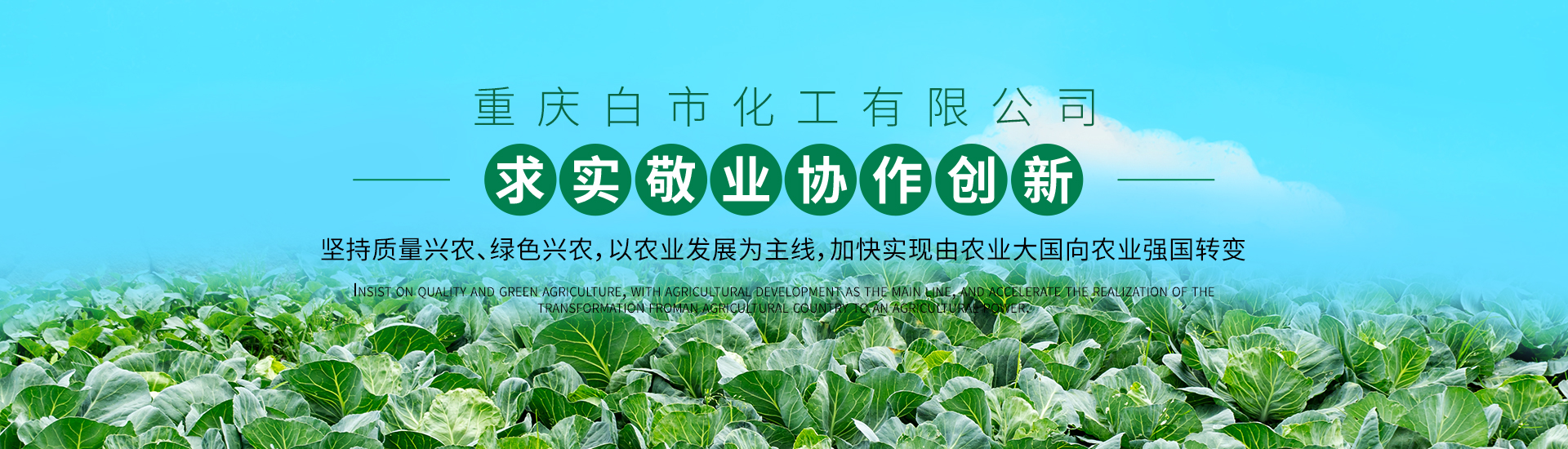 重慶市永川區金達農葉麵肥廠